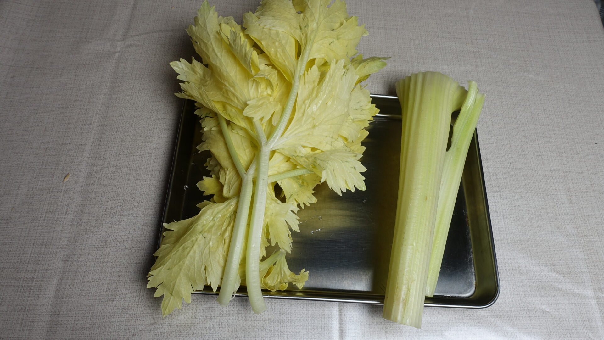 セロリの葉と茎